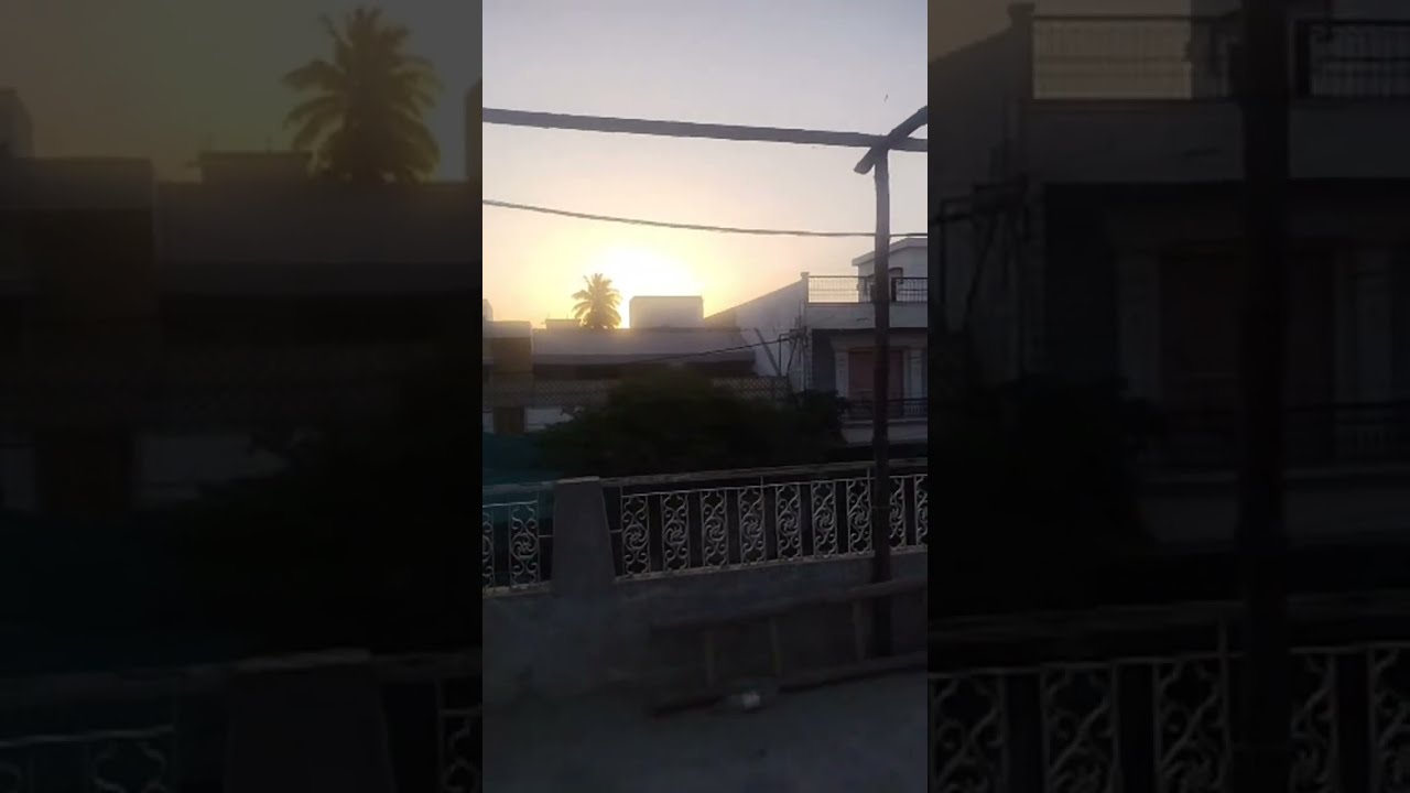 Bella N Timon Diaries  is live!