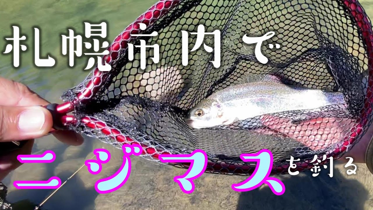 【北海道】札幌市のど真ん中を流れる川でニジマスを釣る