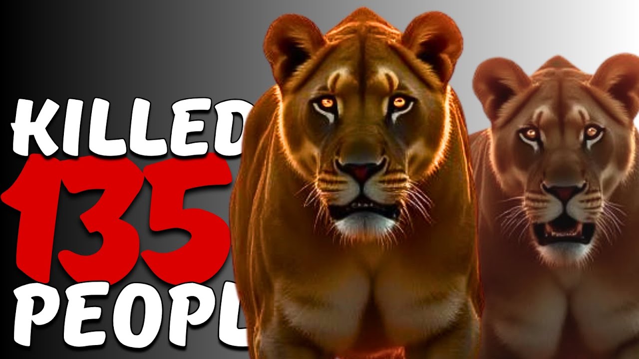 The Hunt for Man Eaters of Tsavo