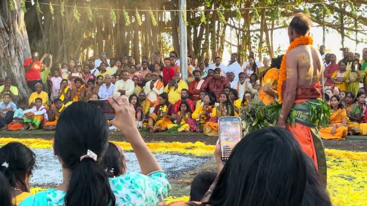 Thimidi - Temple Draupadi Amen Terre Rouge 02-01-2026