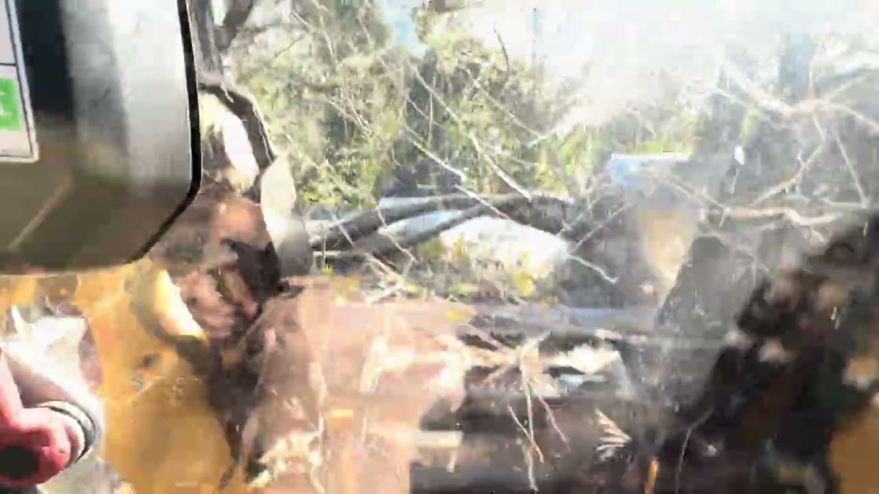 Cat mulching with Shearex 