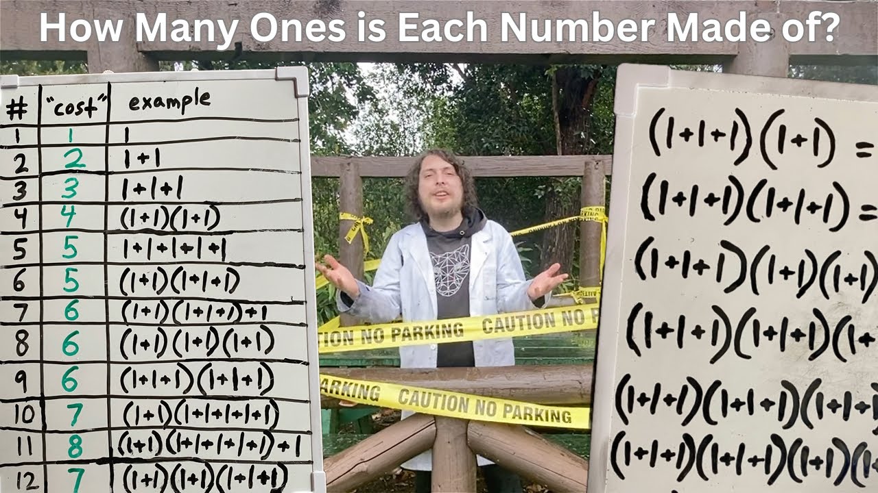 Integer Complexity: The Most Underrated Concept in Number Theory