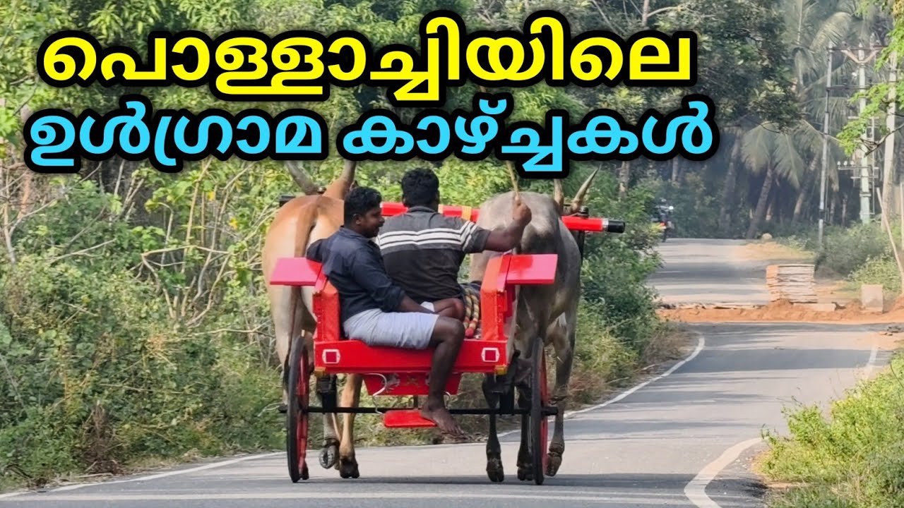 വളരെ സാധാരണക്കാരായ ആളുകൾ താമസിക്കുന്ന ഒരു തമിഴ് ഗ്രാമം | Myladuthurai, Pollachi | Aliyar Dam