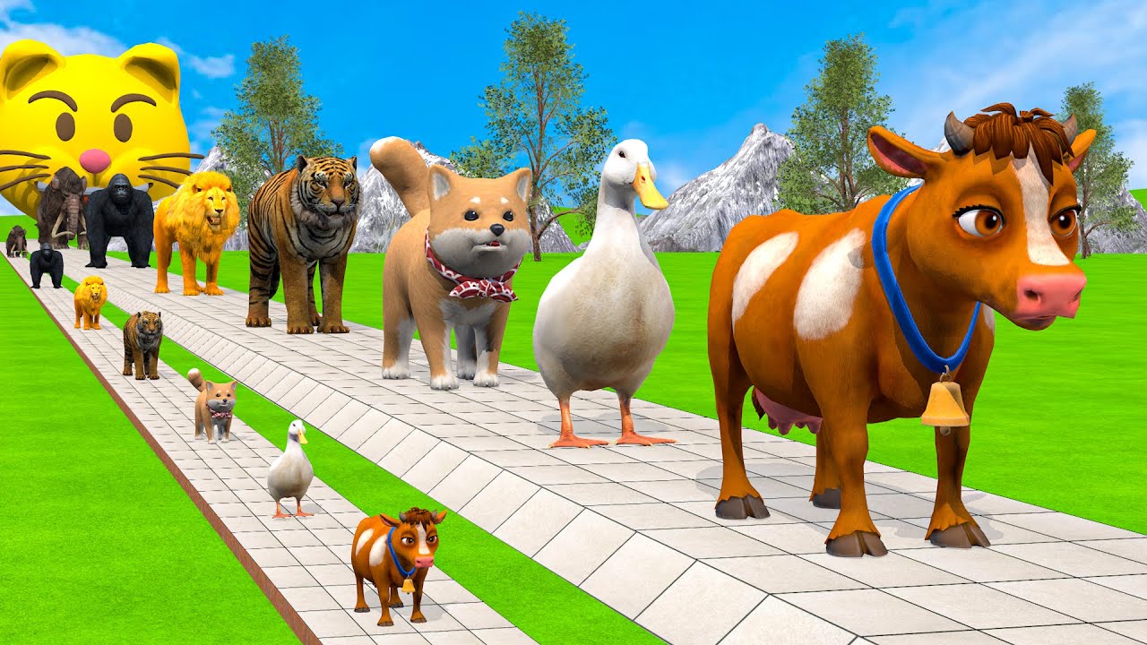 Long Slide Game With Cow Elephant Gorilla Hippopotamus Tiger - 3d Animal Game - Funny 3d Animals