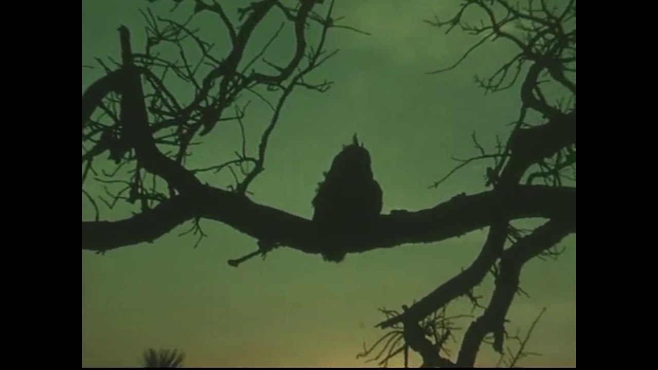 Boards of Canada - Wildlife Analysis