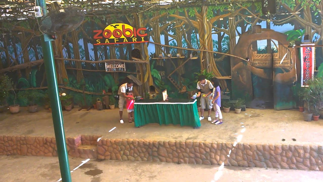 Zoobic Safari bird show 2014