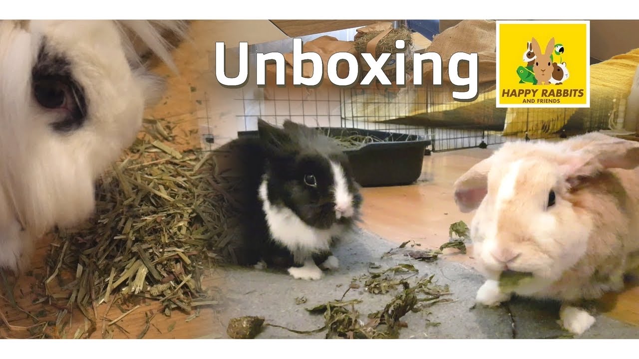 {Unboxing} Je commande chez Happy rabbits and friends !