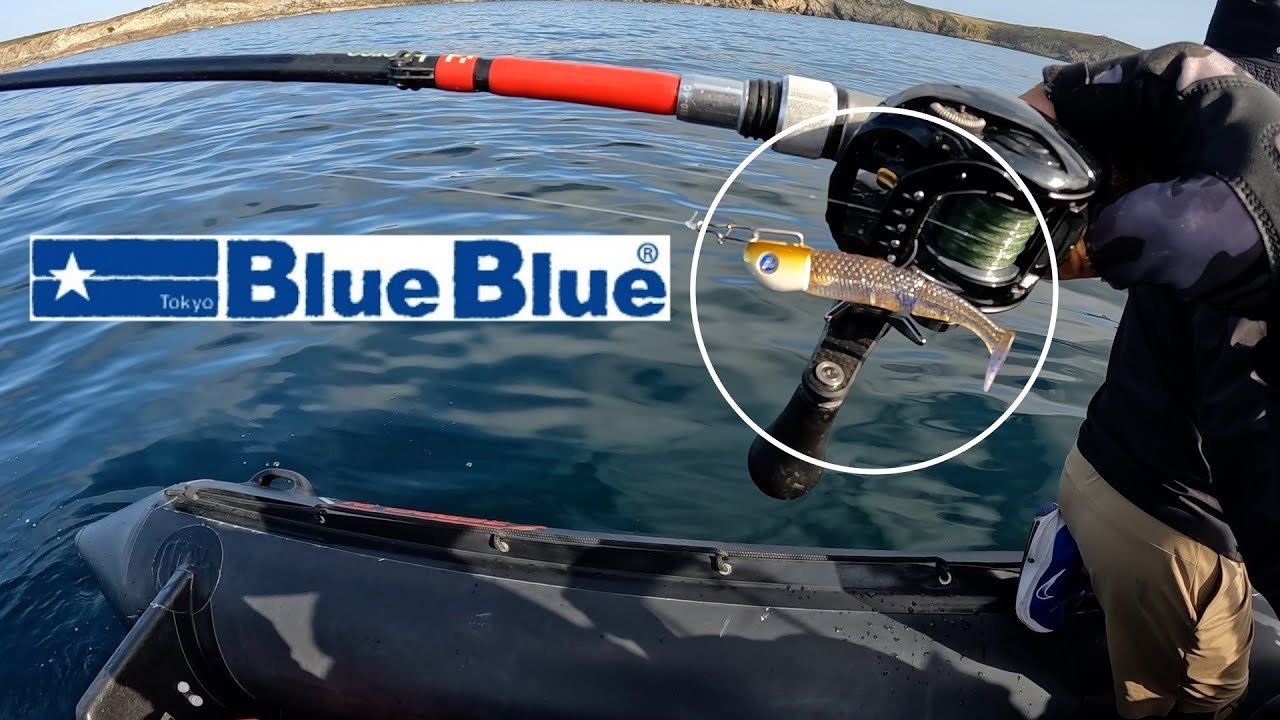 200kg超のマグロがいる海で新作ジョルムーア含むブルーブルールアーでシーバス狙ってみた！