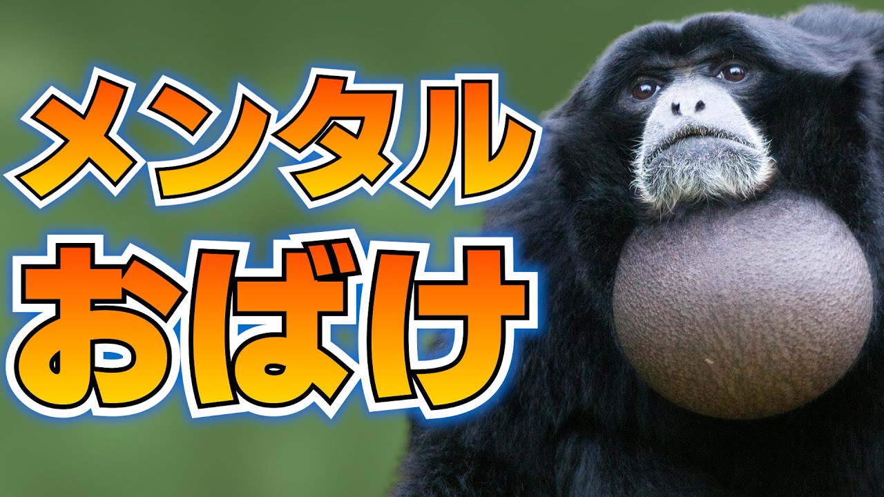 瀕死のテナガザル、メンタルで持ちこたえる