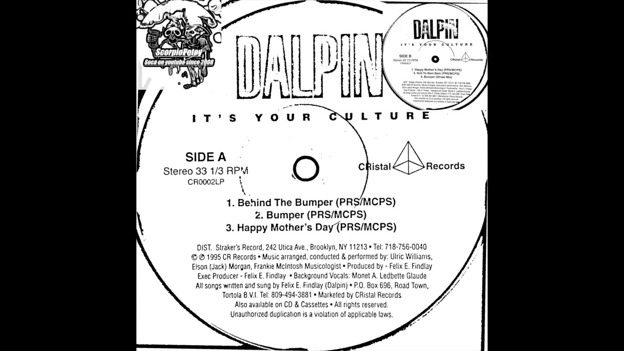 Behind the bumper & street mix DALPIN