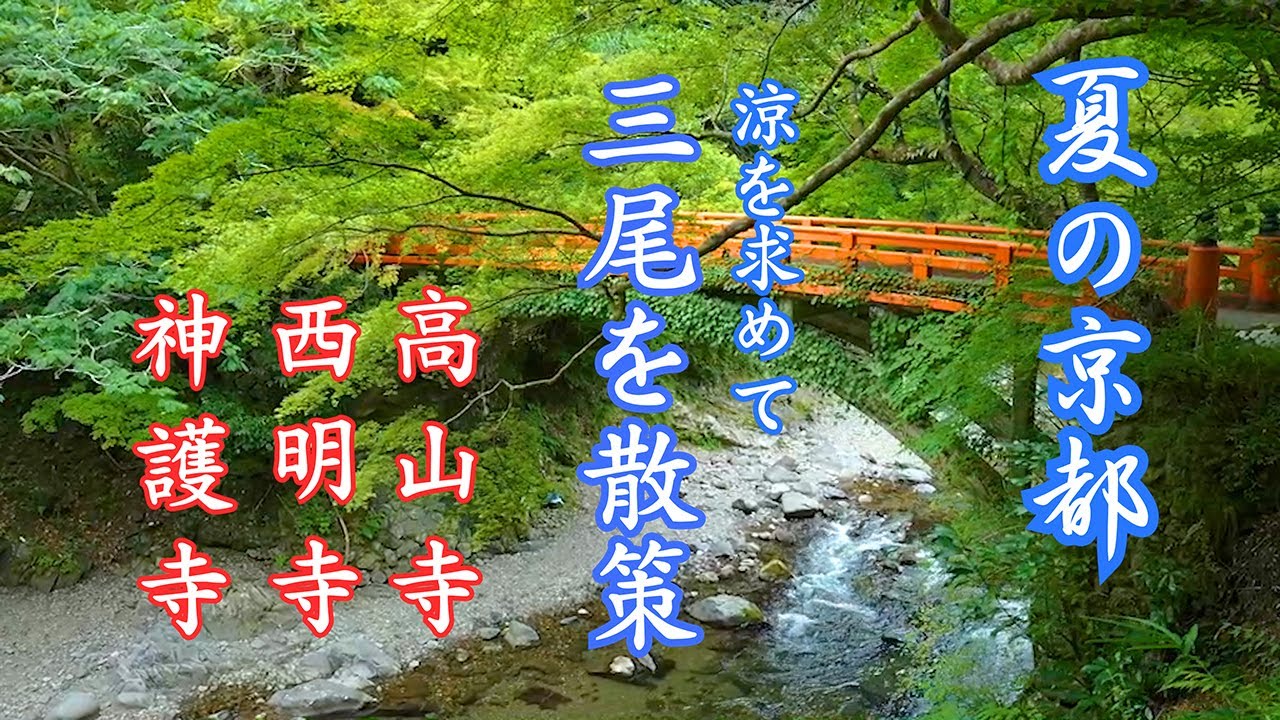 [夏の京都]  三尾を散策  高山寺  西明寺  神護寺 [Summer Kyoto] Kozanji Temple Saimyoji Temple Jingoji Temple Kyoto  4K