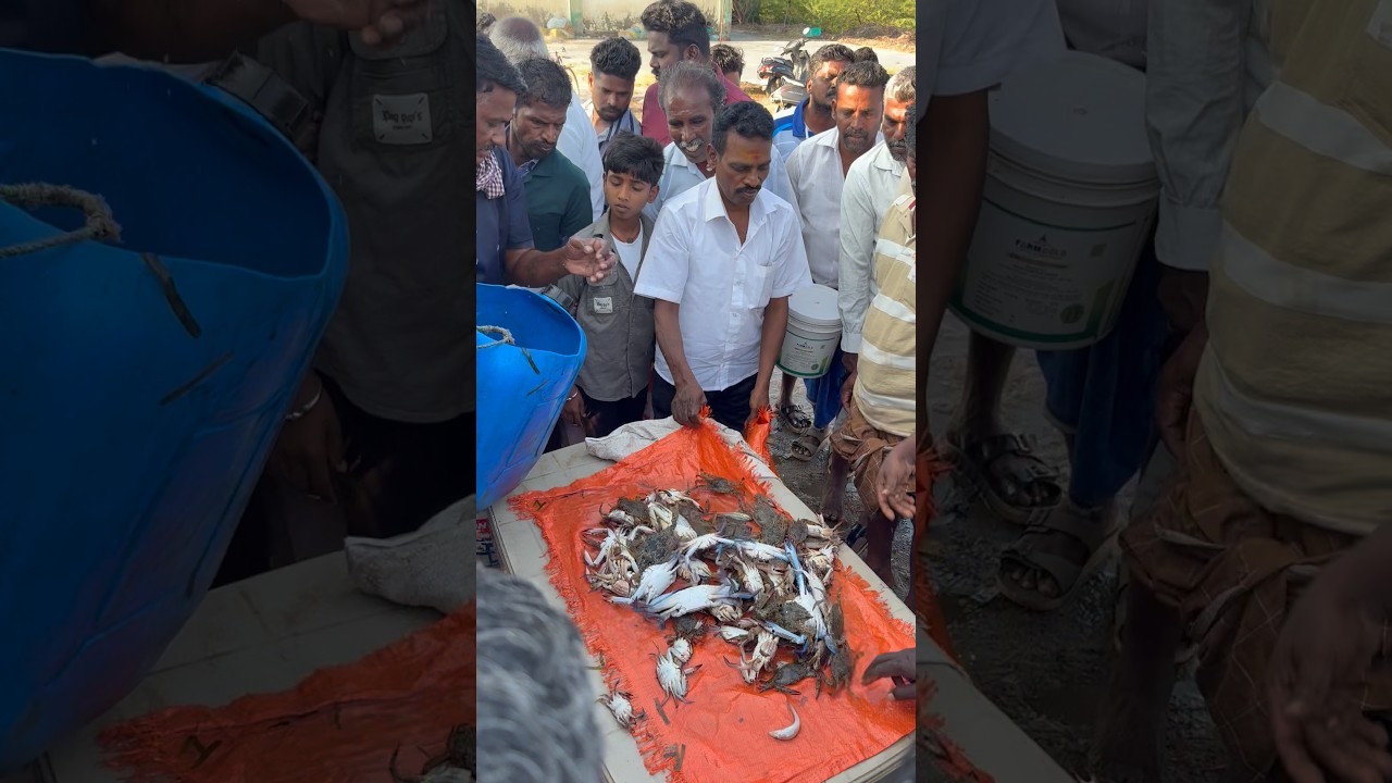 Crowd of people can't go inside🦐Crabs and prawns auctions #seafood #fish 🦀🦑