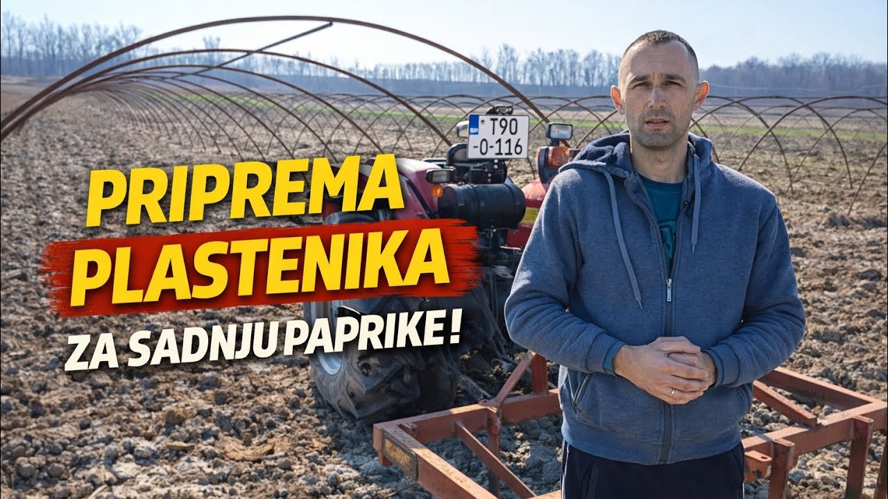 PRIPREMA PLASTENIKA ZA SADNJU PAPRIKE!  Ovo morate uraditi prije sadnje! 🫑