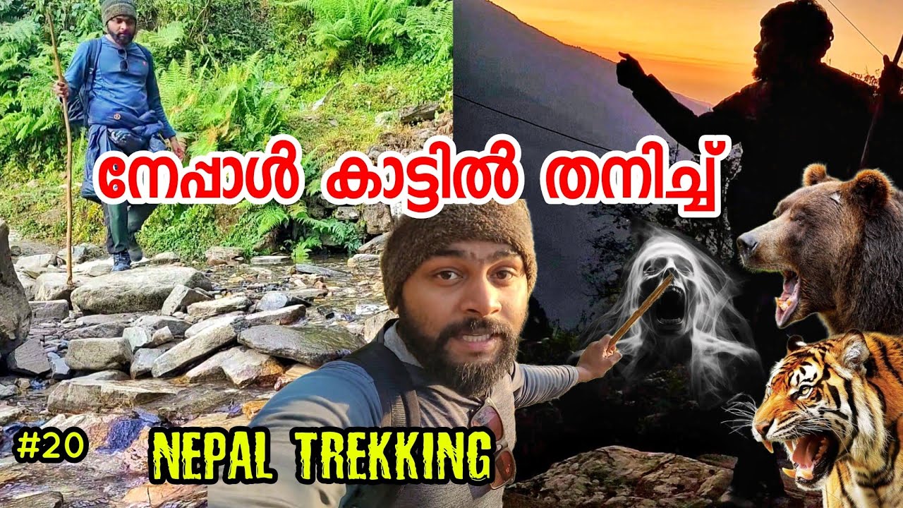 EP20 രാത്രി നേപ്പാൾ കാട്ടിൽ തനിച്ച് !! Trapped Inside Nepal Forest In Night | Mardi Himal Trekking