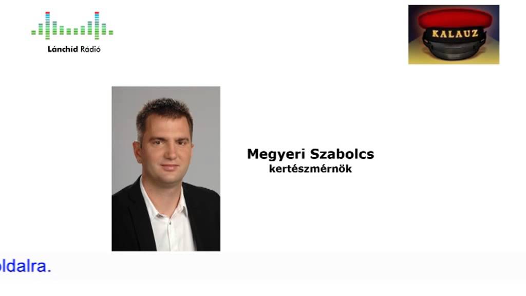 Talajv&iacute;z hasznos&iacute;t&aacute;s - Megyeri Szabolcs Kert&eacute;szet Pest megye web&aacute;ruh&aacute;z