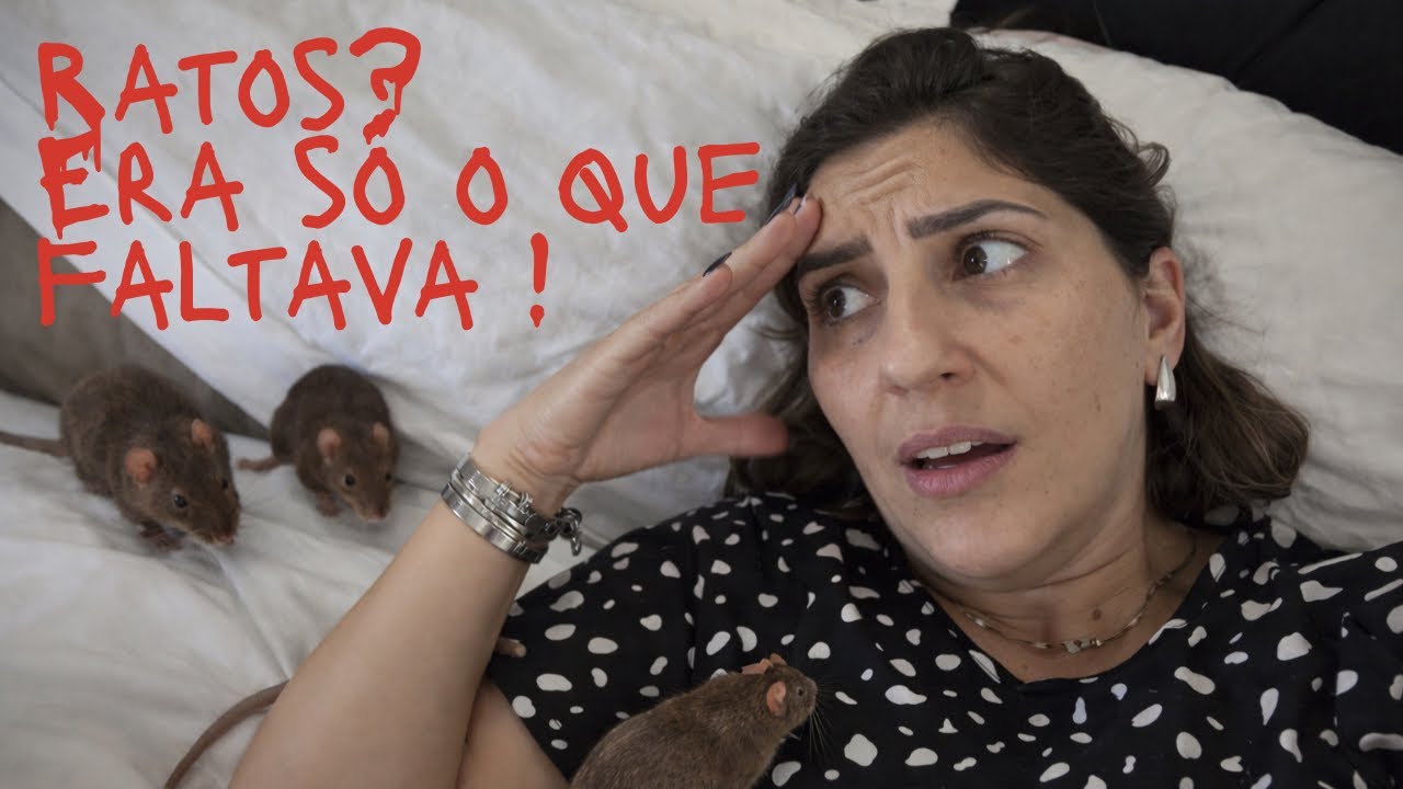 Ratos? Era só o que faltava! Me ajudem por favor🙏🏻