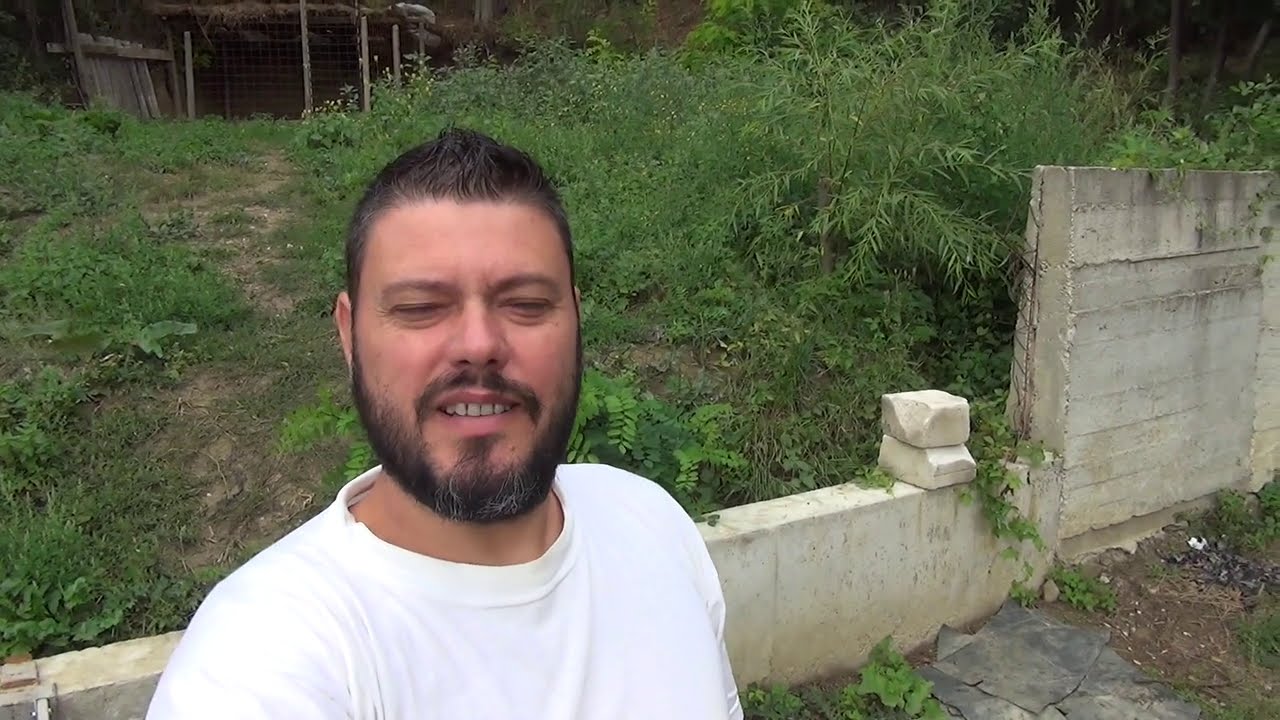 CEI 3 CATELUSI LUPTA CU PARVOVIROZA ( episodul 28 )