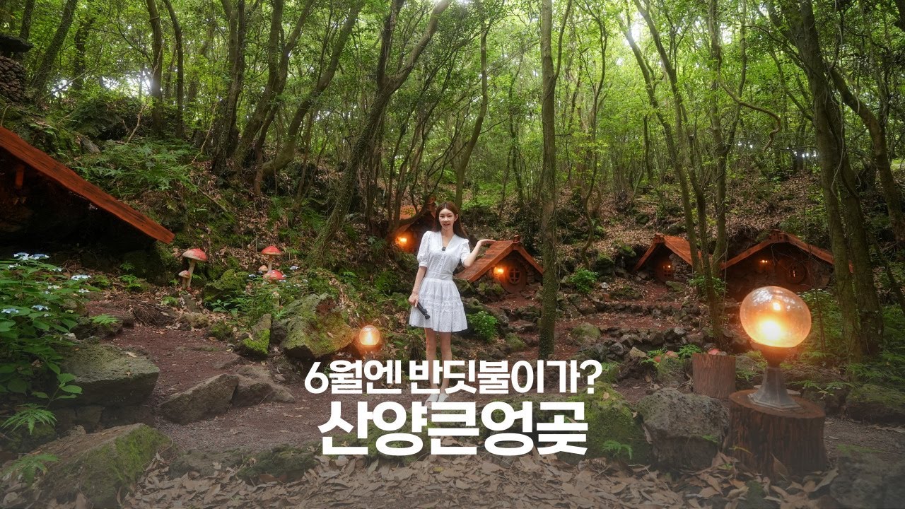 [갑조네TV]  | 산수국천국 | 산양큰엉곶 | 산수국