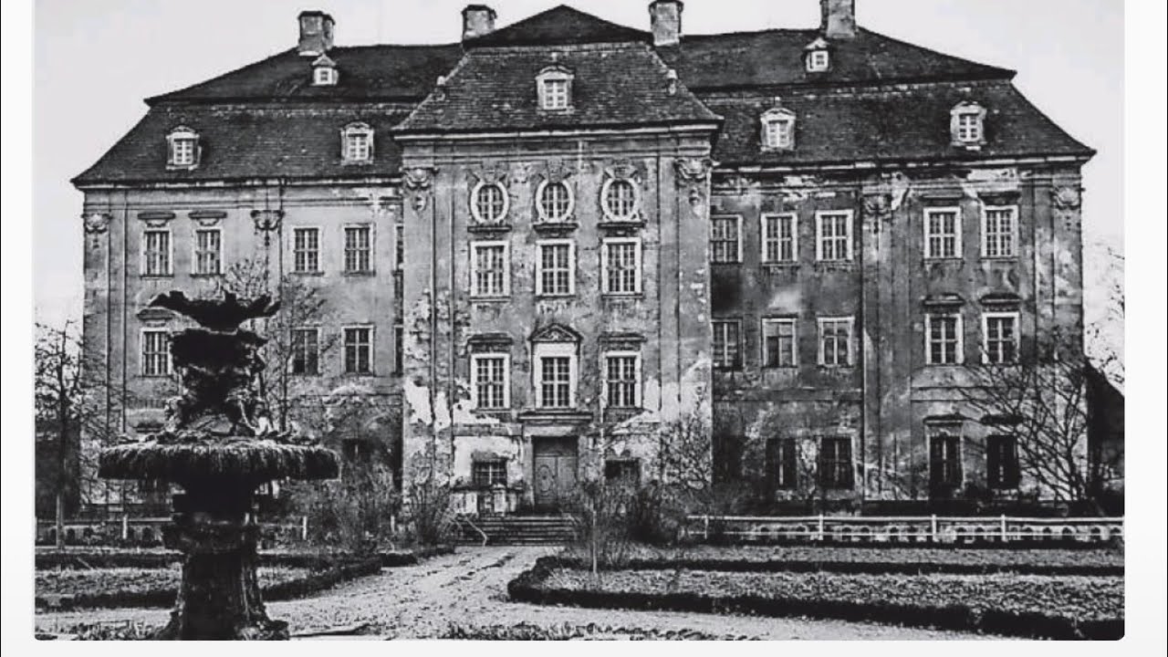 ۝ Vlog ۝  Schloss Tiefenau - Was bisher geschah...