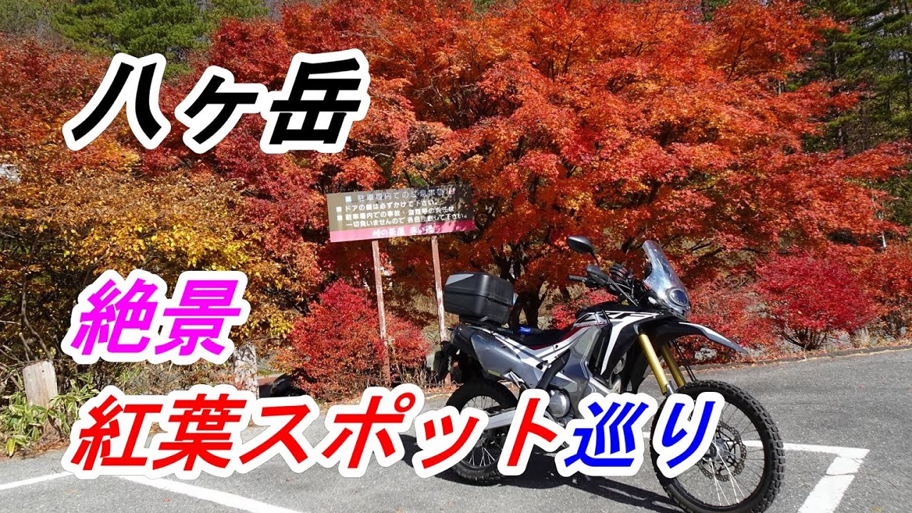 八ヶ岳 絶景紅葉スポット巡りツーリング 2020【CRF250 RALLY】