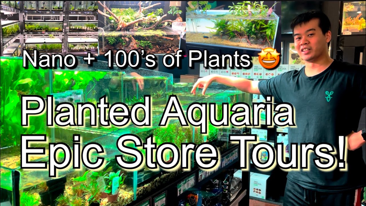 Epic #StoreTour - Planted Aquaria Oakville - Pet Store Tour!!! #AquaMalik #Fish #Aquariums #pets