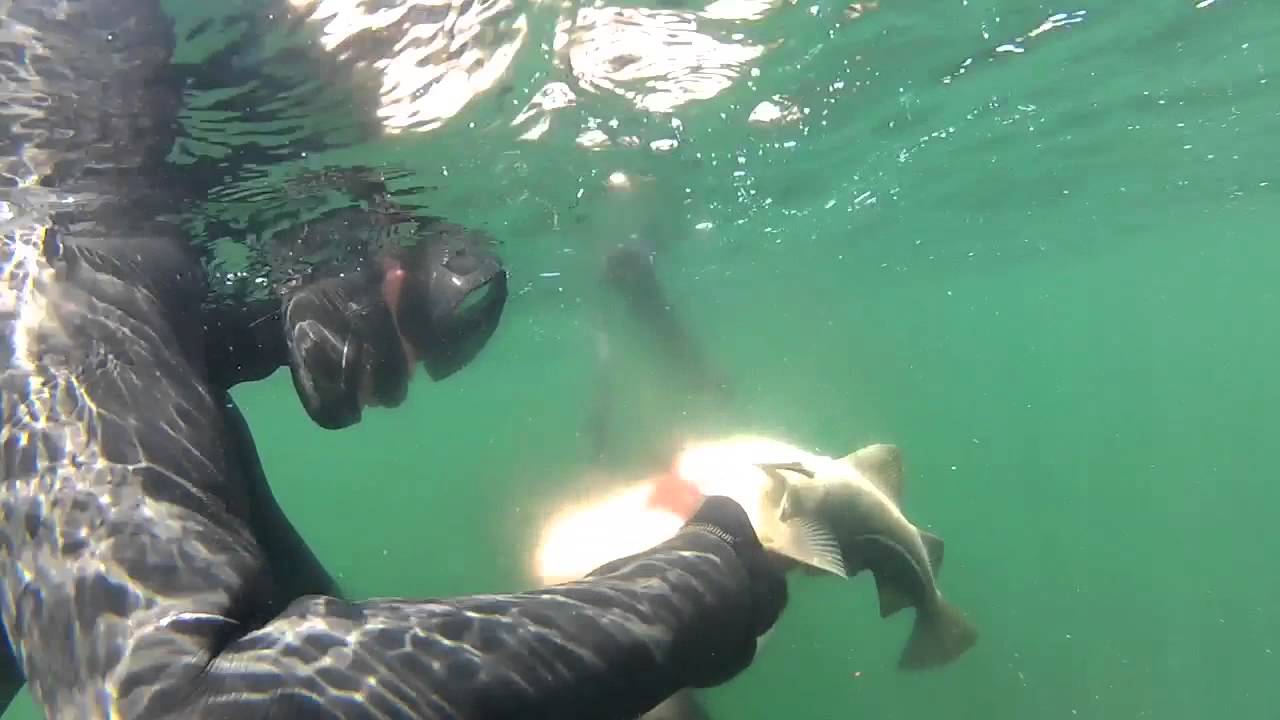 Jagt på måleren i Øresund - UV jagt