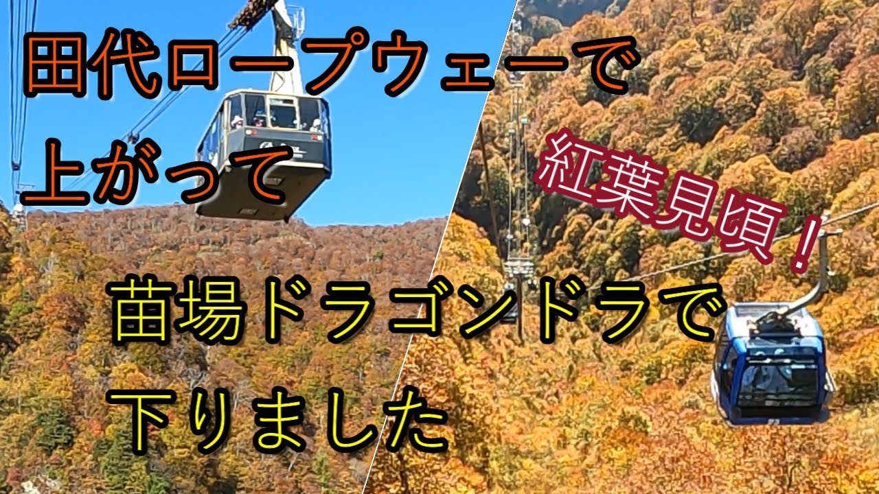 田代ロープウェーで上がって苗場ドラゴンドラで下りました🍁
