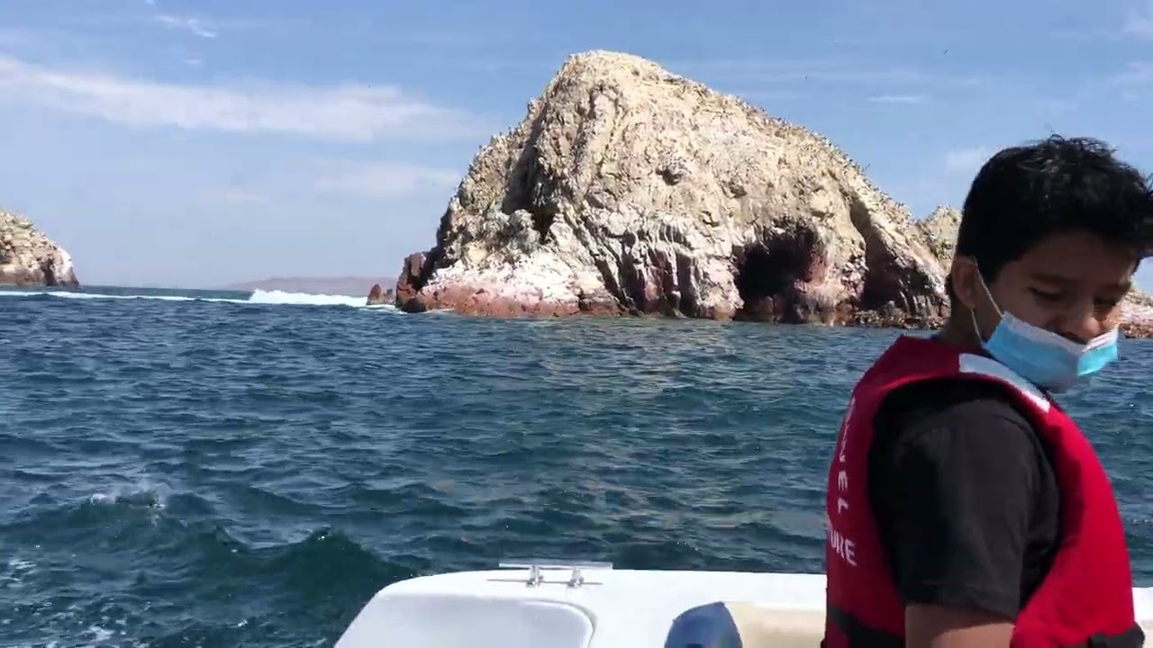 Islas ballestas 🦭😎🌞 Pisco/Ica de visita por el cumpleaños #8 de mi chinita 12/11/2021