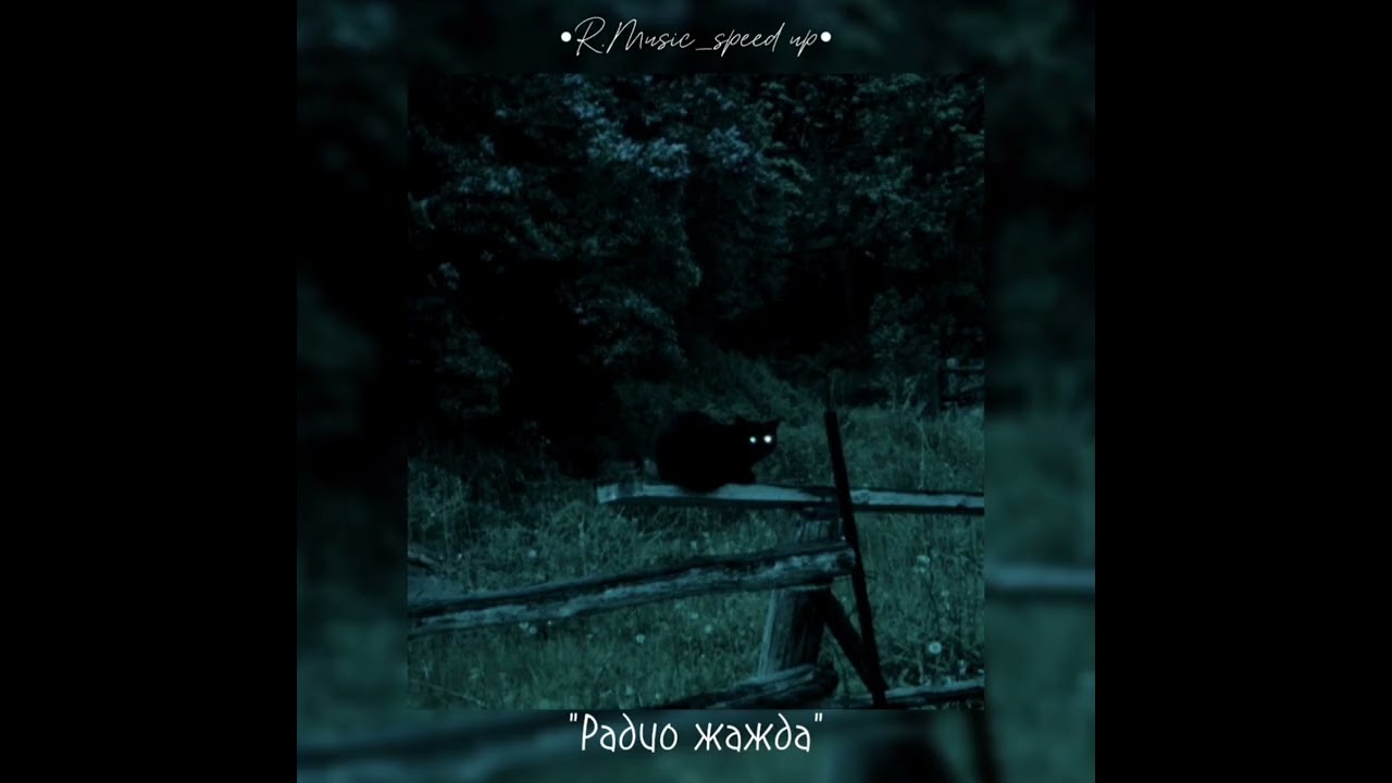 🎶Speed up  /плейлист нового альбома Пошлая Молли/🎶