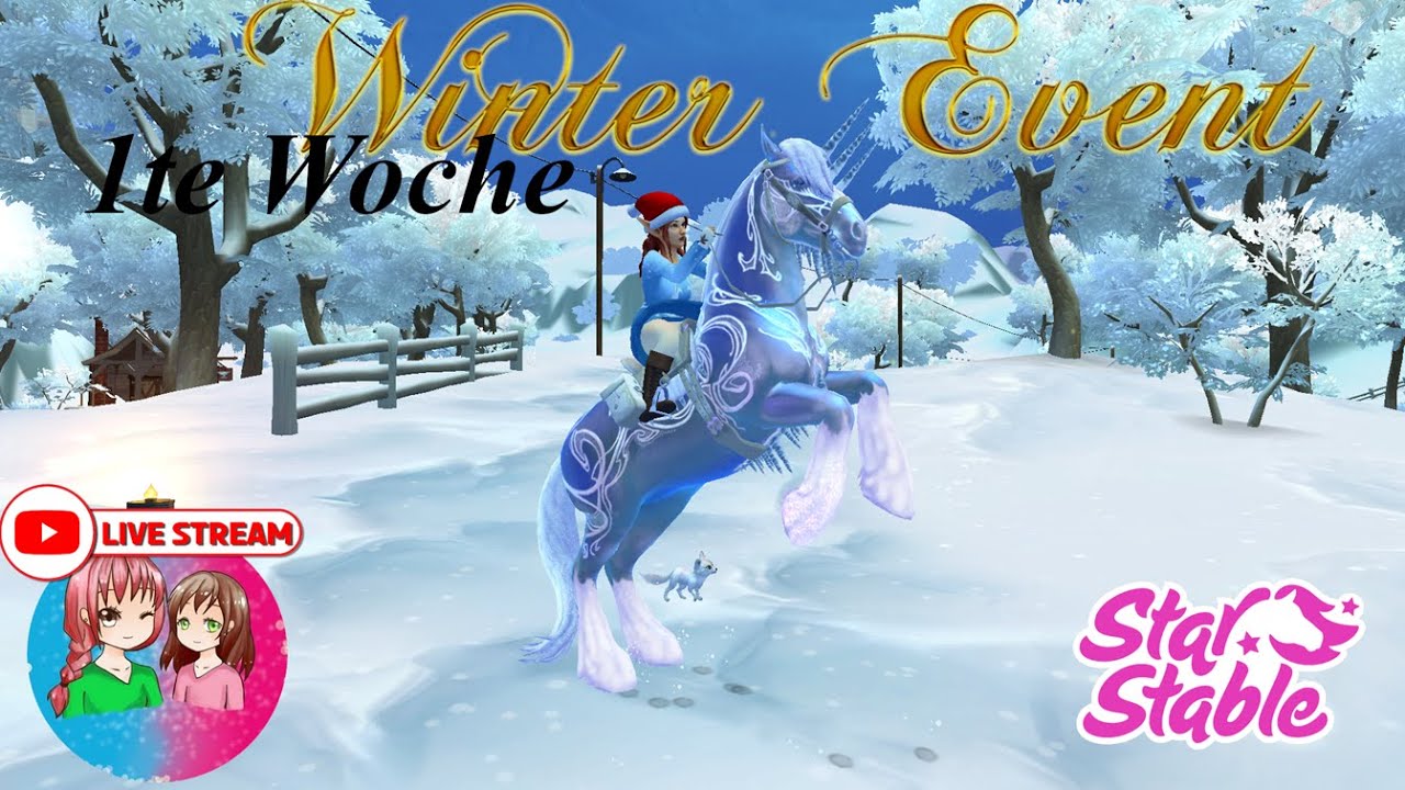 Live🔴SSO ☆ Server 5 - Cloudy Rock ☆ 1te Woche Winterdorf mit Sól und Máni