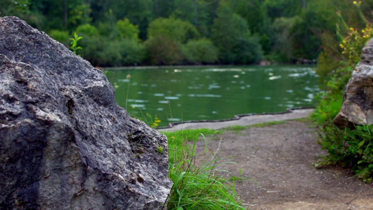 Parc du Patis - Meaux