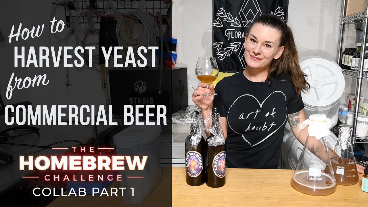 Как собрать дрожжи из коммерческого пива | Homebrew Challenge Collab, часть 1