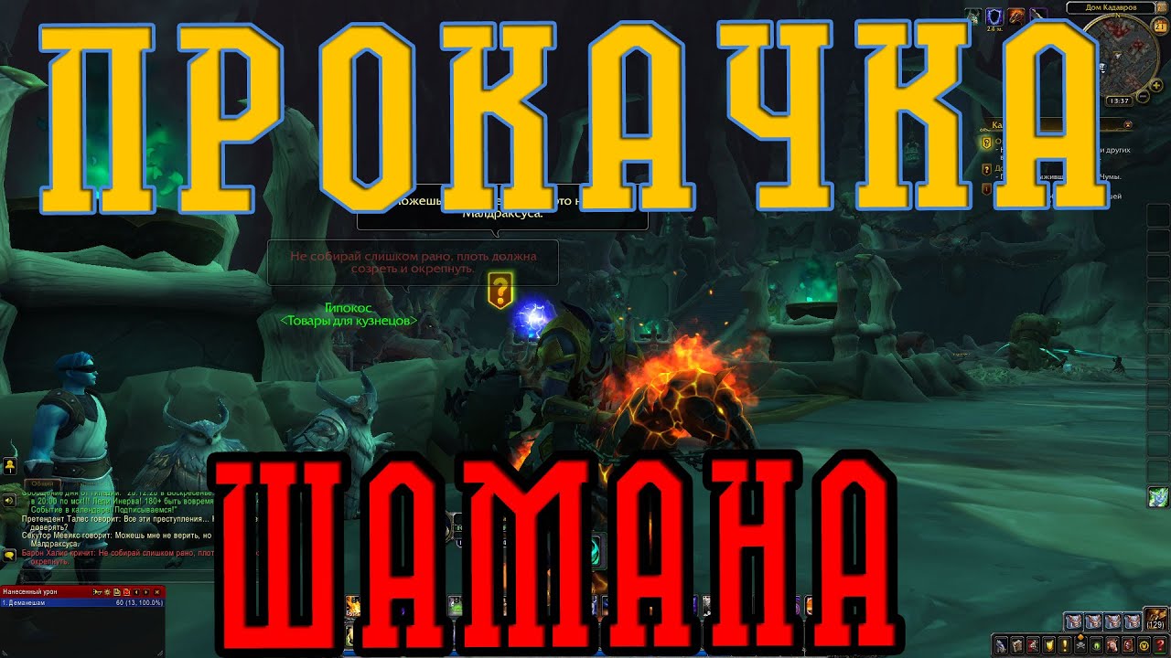 World of Warcraft Shadowlands - Качаю Шмана 9.0.2
