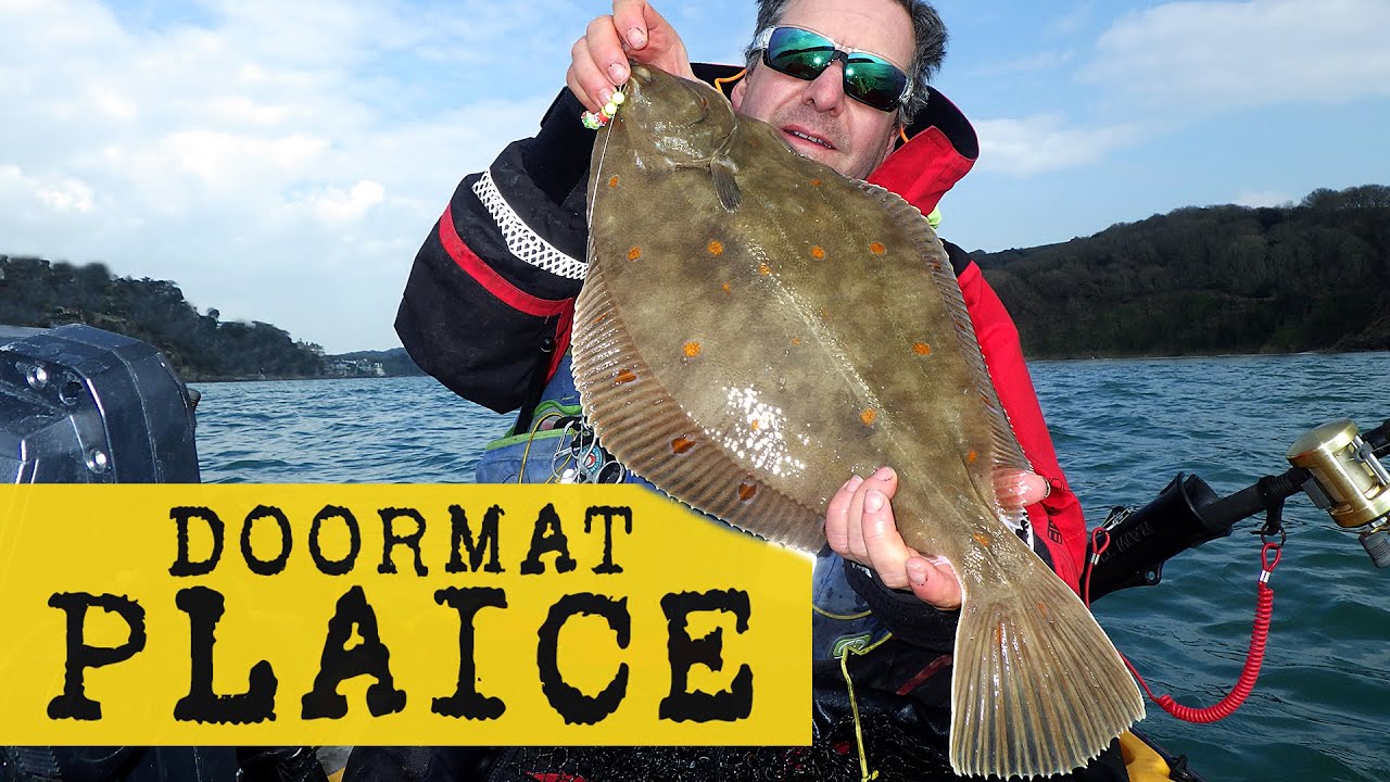 Huge plaice caught fishing in UK