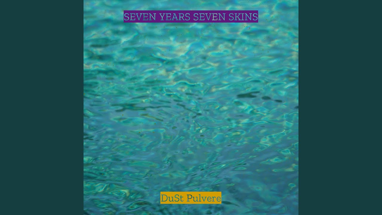 Seven Years Seven Skins