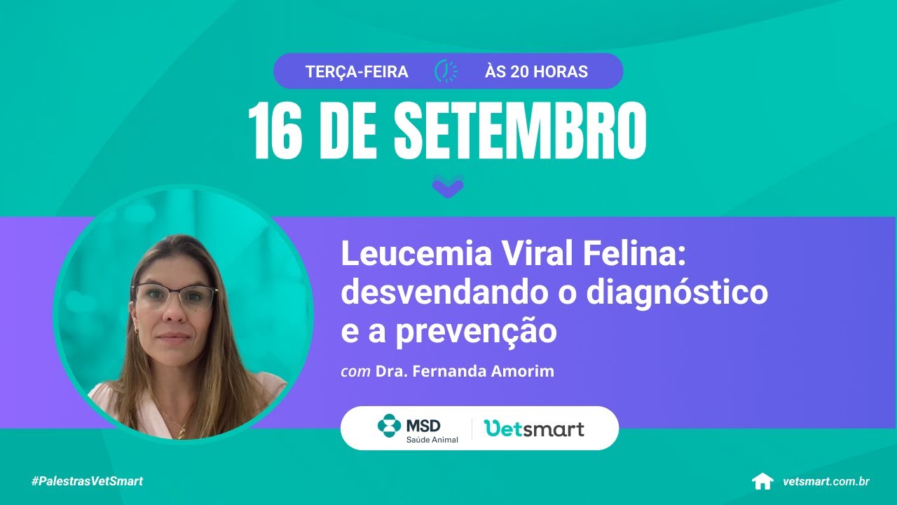 Leucemia Viral Felina: desvendando o diagnóstico e a prevenção
