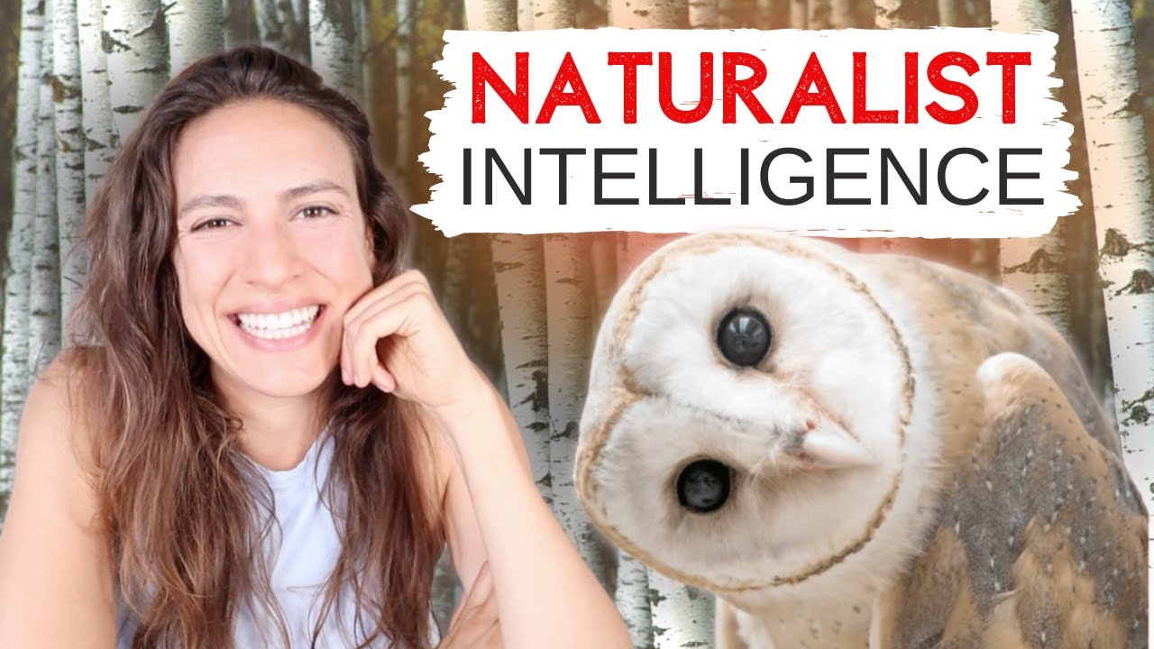 Naturalist Intelligence - What is 