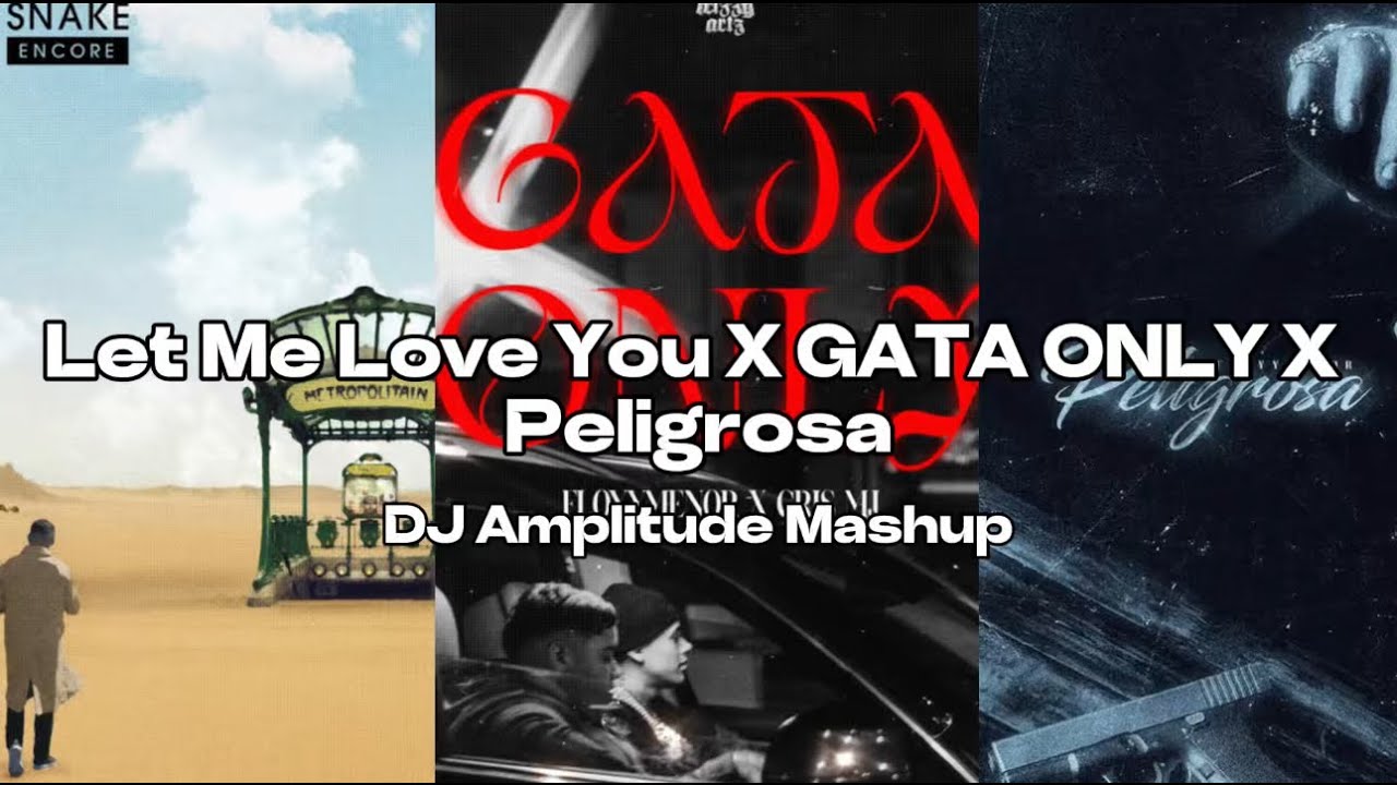 Let Me Love You X Gata Only X Peligrosa [DJ Amplitude Mashup]
