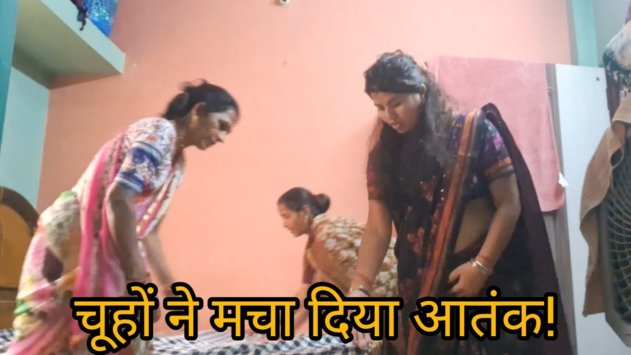 चूहों ने मचा दिया आतंक!🦡kranti deepak baghel vlogs 