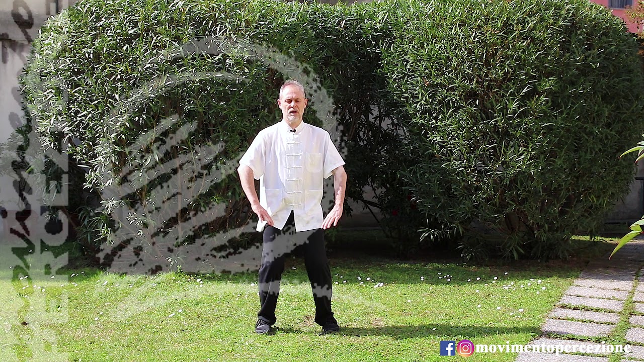 QIGONG 7 – POSIZIONI: 5 ORGANI (ZHAN ZHUANG)
