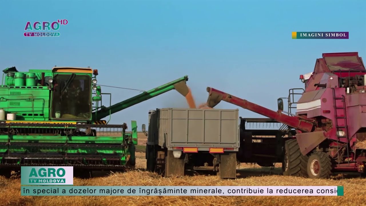 Care sunt rezultatele prealabile la recoltarea gr&acirc;ului de toamnă? &ndash; AGRO TV News