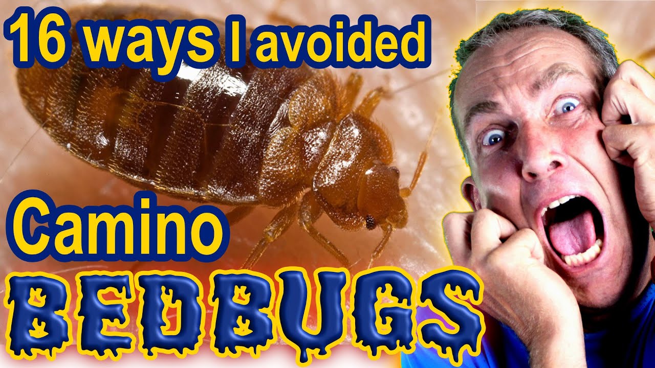16 Ways I Avoided Bedbugs on The Camino de Santiago, Camino Frances, Mike On The Camino