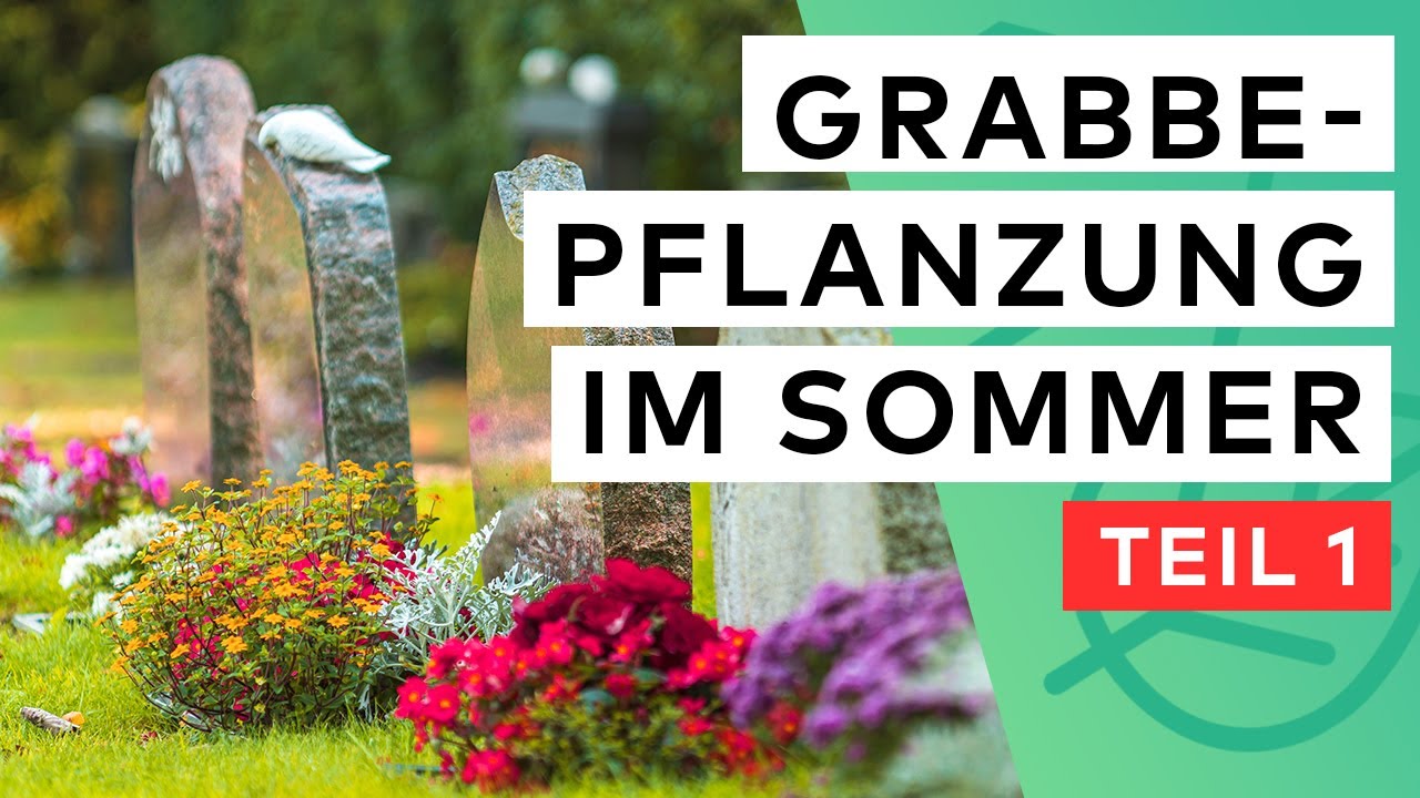 Grabbepflanzung im Sommer 🌺 ☀️ 15 Pflanzen für viel Sonne & wenig Wasser ✅ | Teil 1