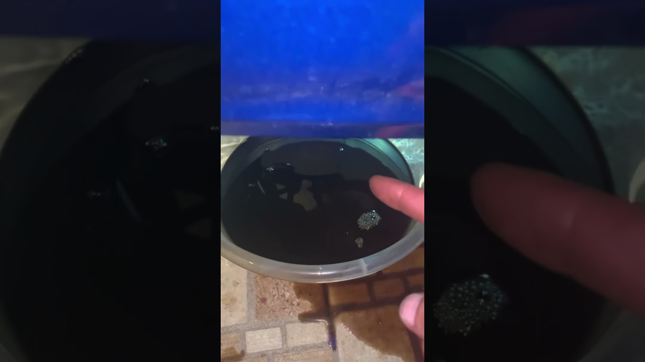 ‎طريقة تغيير زيت دباب ريس سوزوكي جكسر GIXXER ٢٥٠ او ١٥٠