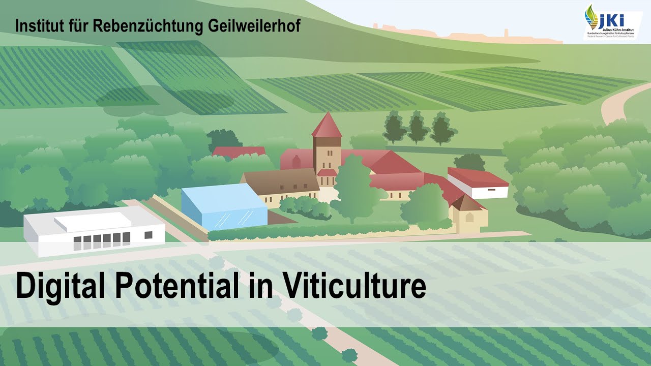 Digital Potential in Viticulture