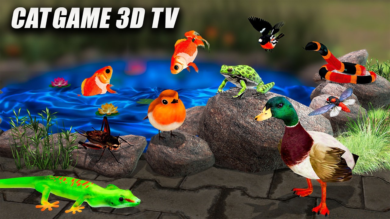 Cat Games | Catch Bugs, Mice & Lizards – 8 Hour Cat TV | Videos for Cats to Watch 4K 60FPS
