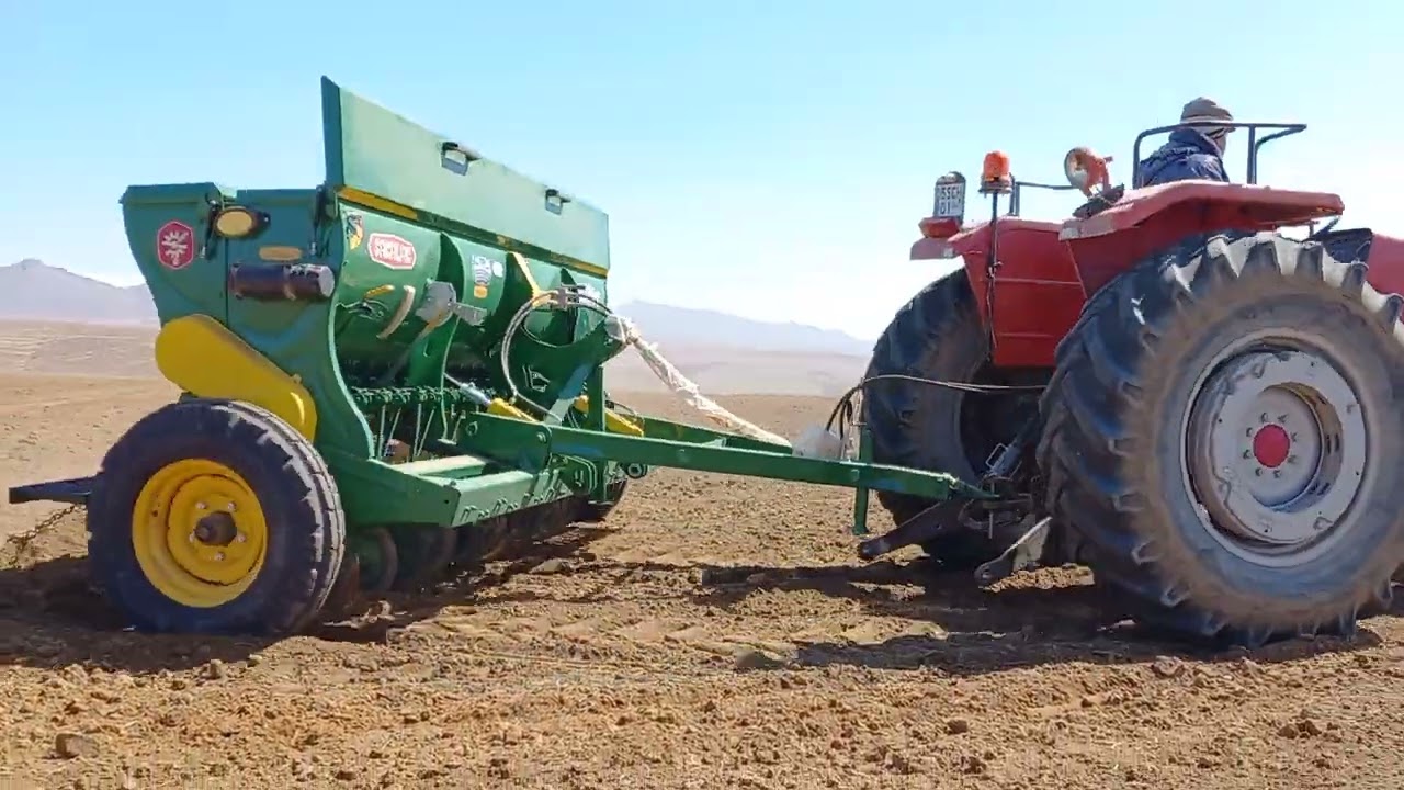 nohut ekimi massey ferguson 285 şakalak 20 li mibzer