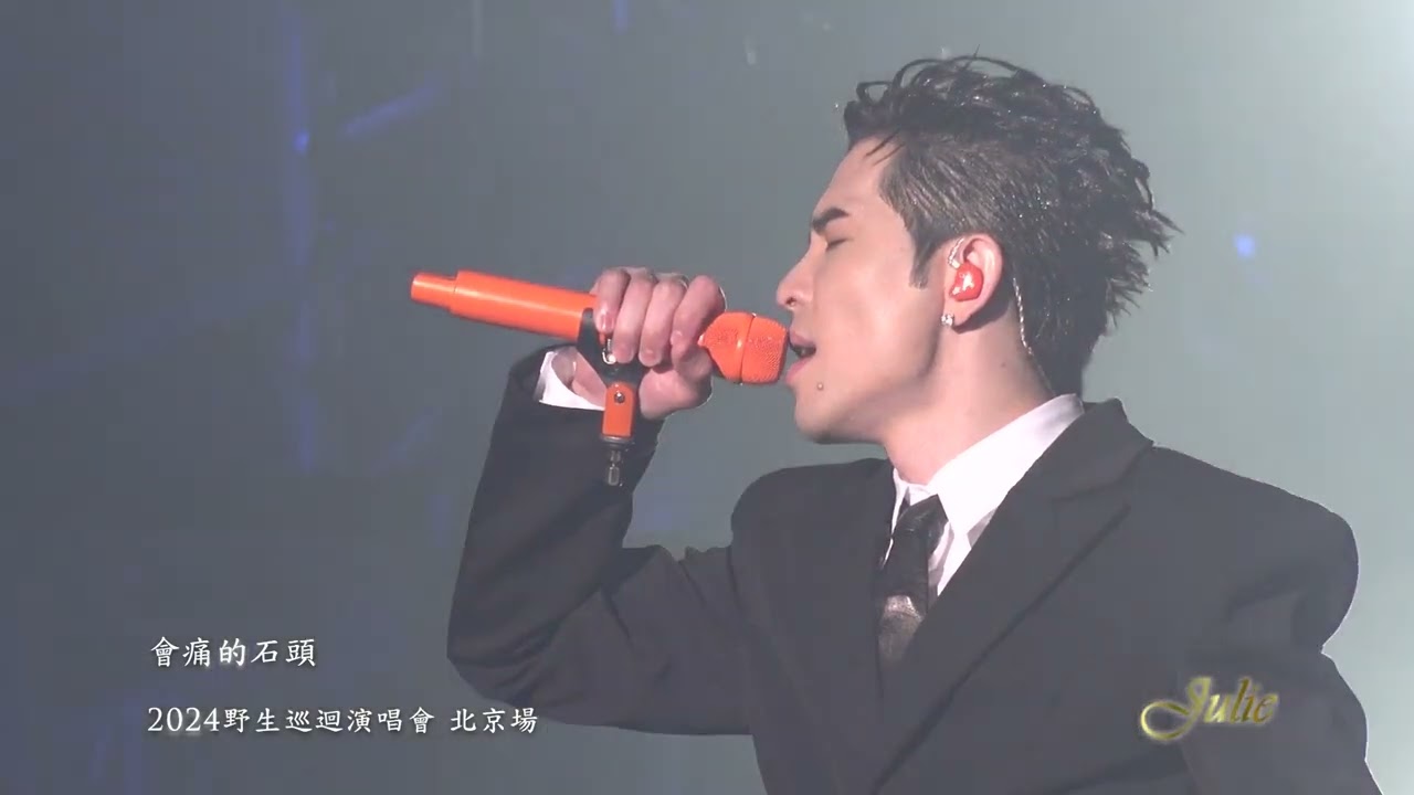 蕭敬騰《會痛的石頭》｜2024野生演唱會北京場