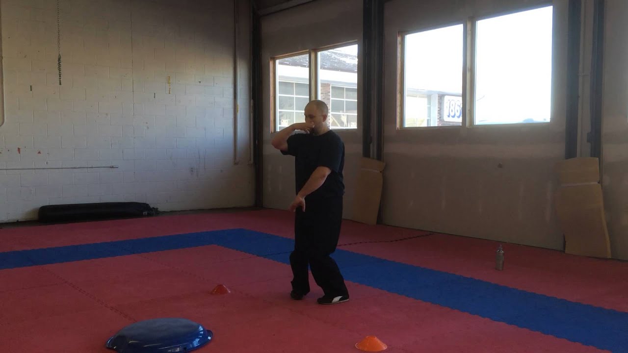 8 Qigong Palms of Baguazhang Breakdown and Transitions