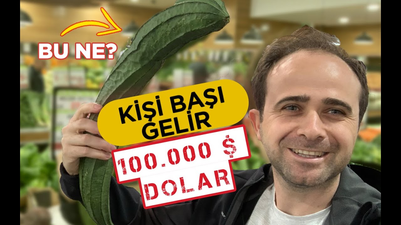 Burada Yaşamak İster Miydiniz ? Kişi Başı Gelir 100.000 Dolar  (Fiyatlar Gerçek Olamaz ???)